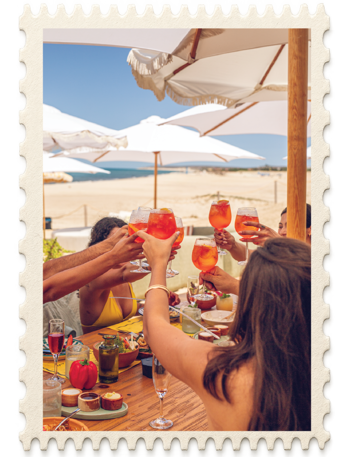 Friends toasting drinks